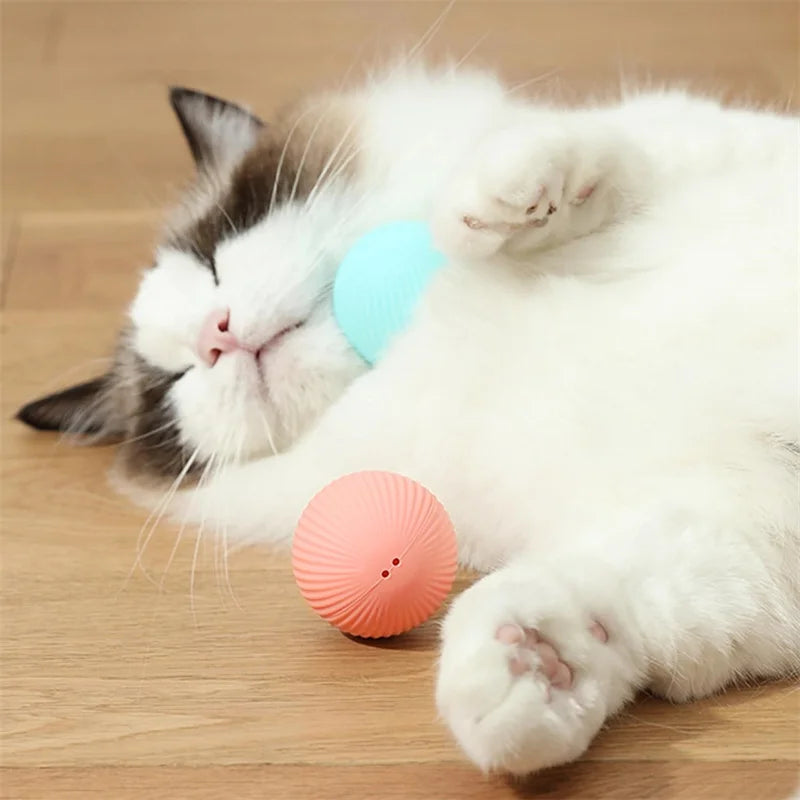 Smart Ball Electronic Interactive Dog Toy