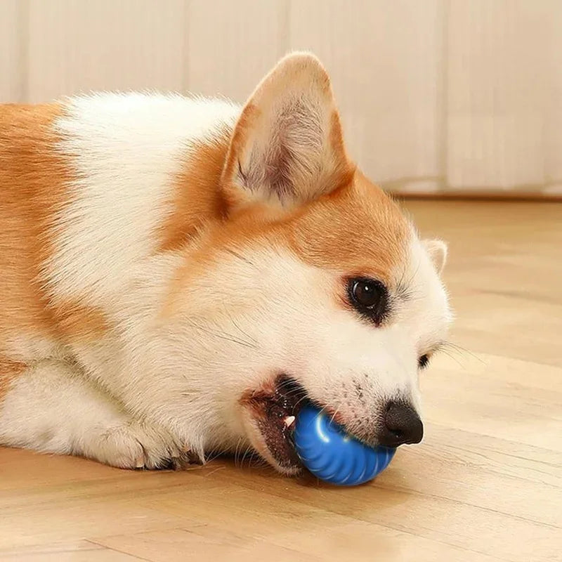 Interactive Dog ball