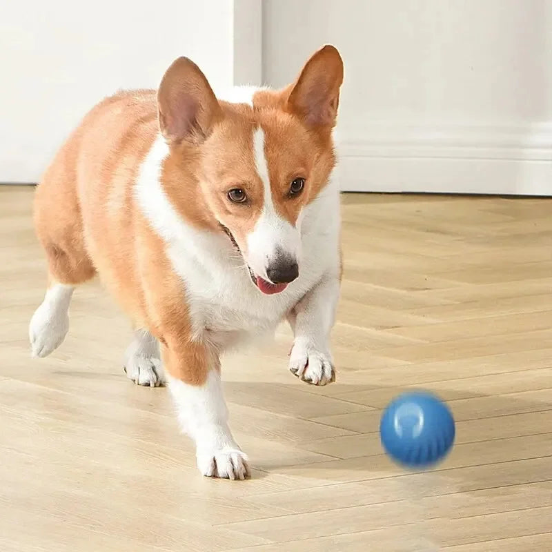 Interactive Dog ball