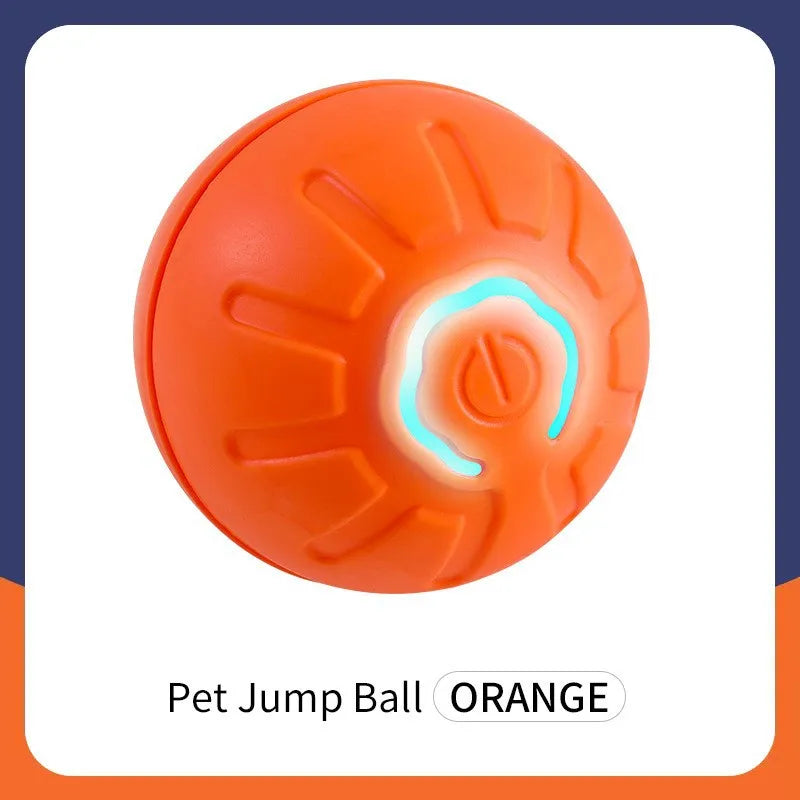 Interactive Dog ball