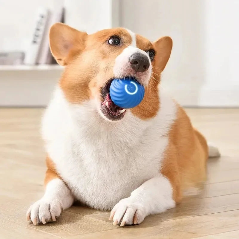 Interactive Dog ball